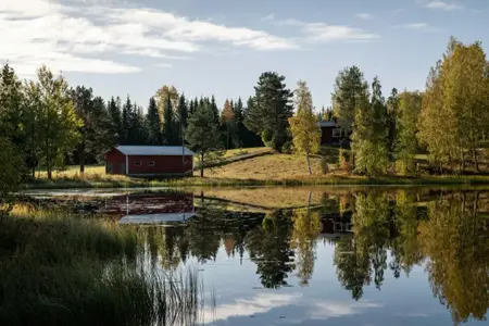 Suomi-tietoa